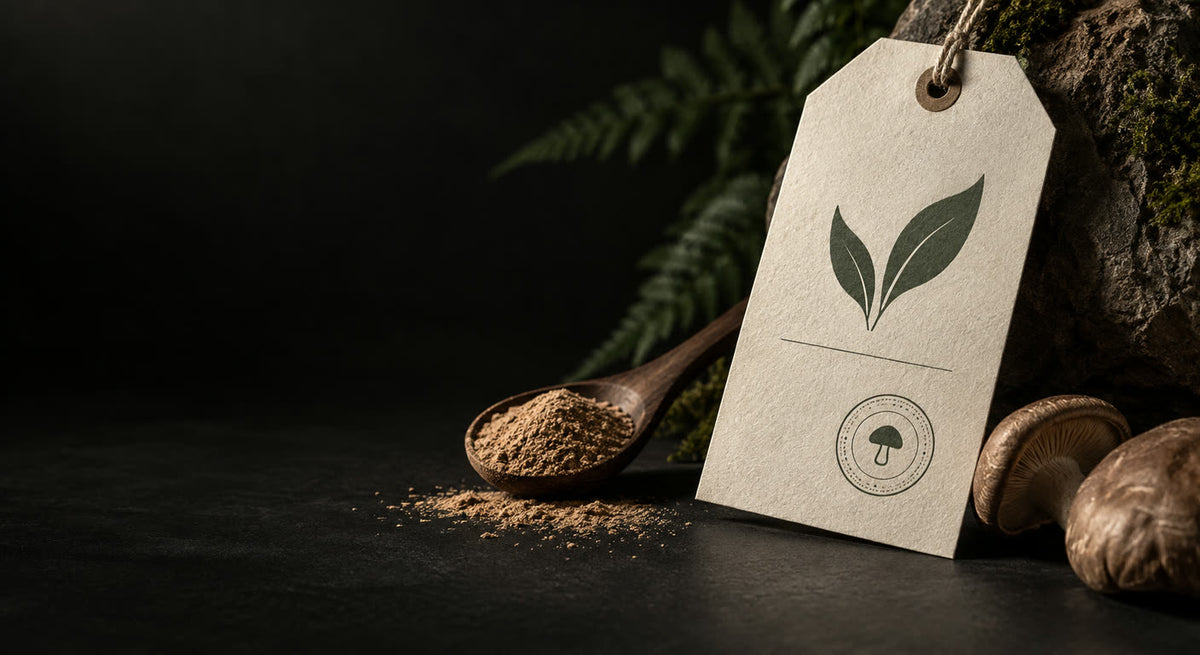 Champignons adaptogènes bio : que garantit vraiment le label ?