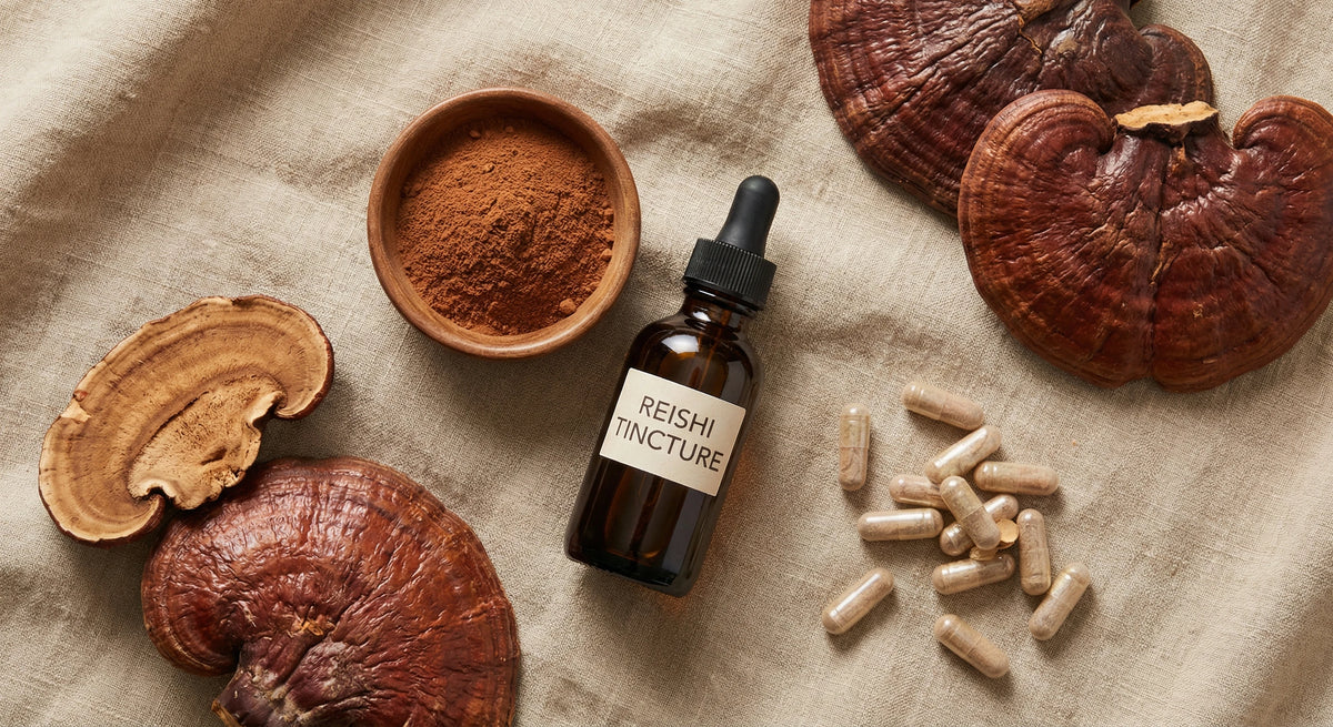 Reishi : quel format selon votre usage (poudre, gélules, teinture)