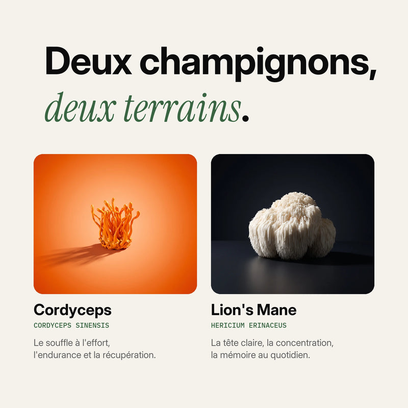 Pack Énergie & Focus 6
