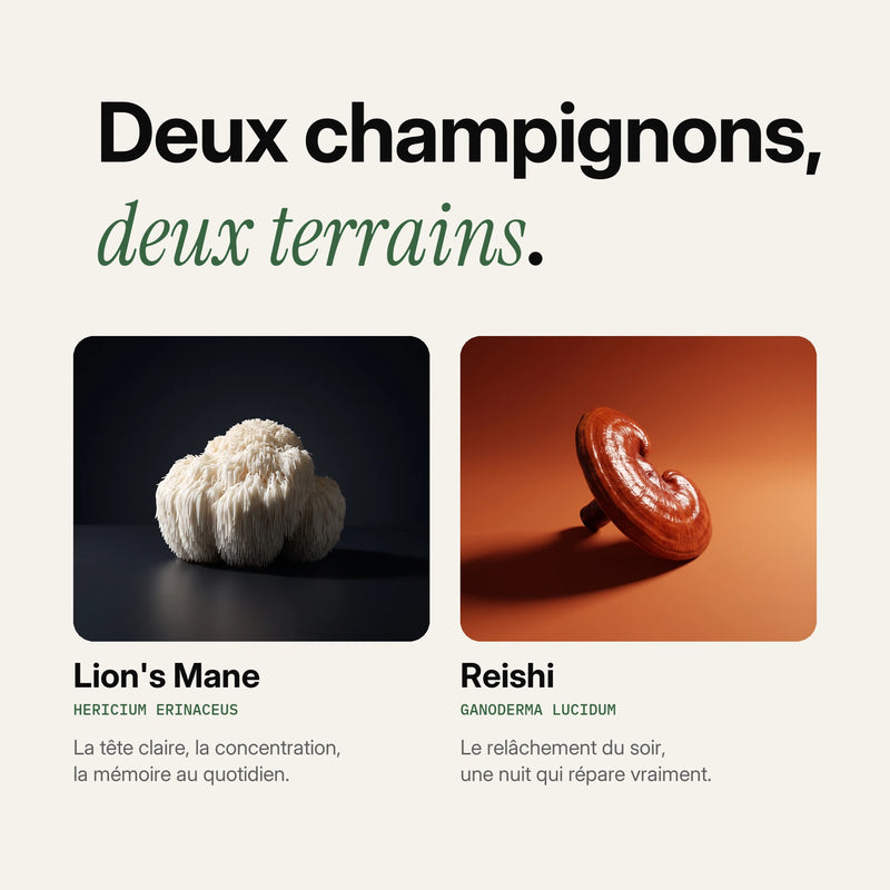 Pack Jour & Nuit 6