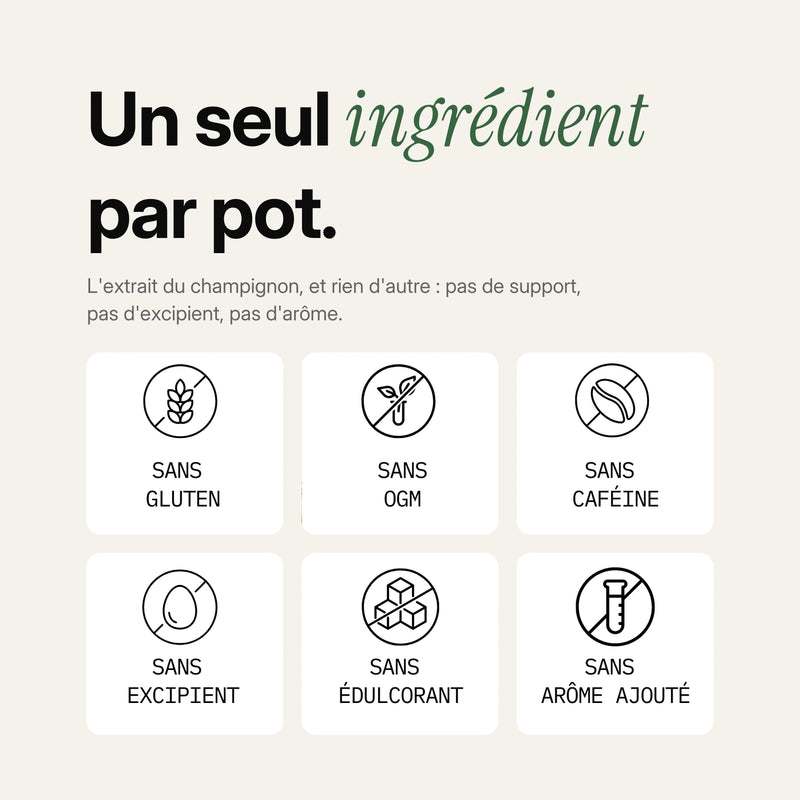 Pack Énergie & Focus 7