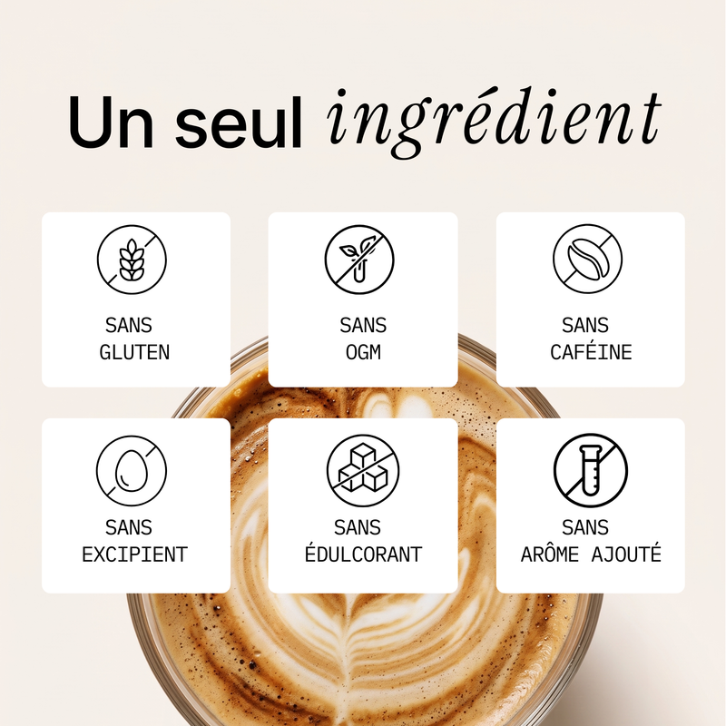 Cordyceps - Extrait en poudre 9
