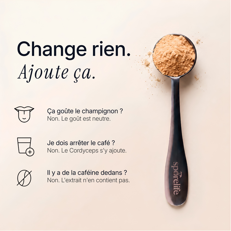 Cordyceps - Extrait en poudre 6