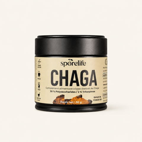 Chaga - Extrait en poudre