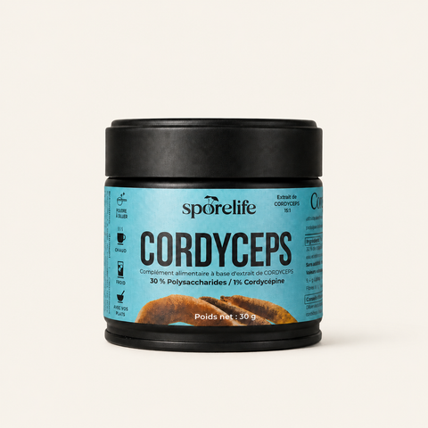 Cordyceps - Extrait en poudre