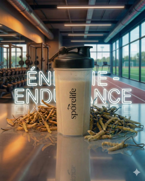 Shake Énergie