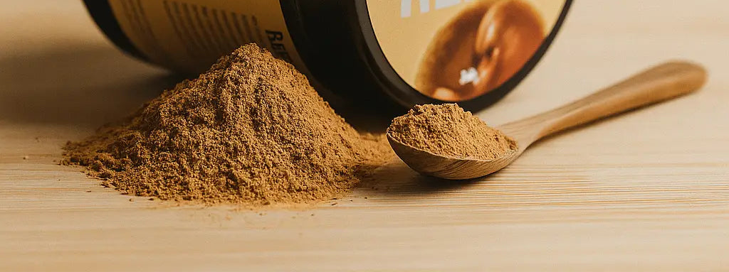 Reishi en poudre – Extrait 15:1 SporeLife