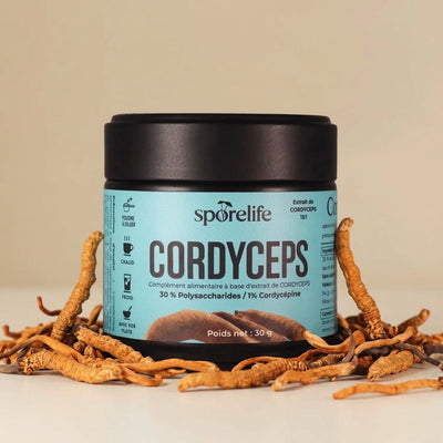 Cordyceps - Extrait en poudre