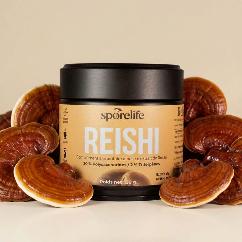 Reishi - Extrait en poudre