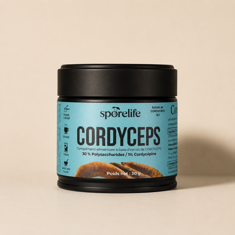 Cordyceps - Extrait en poudre