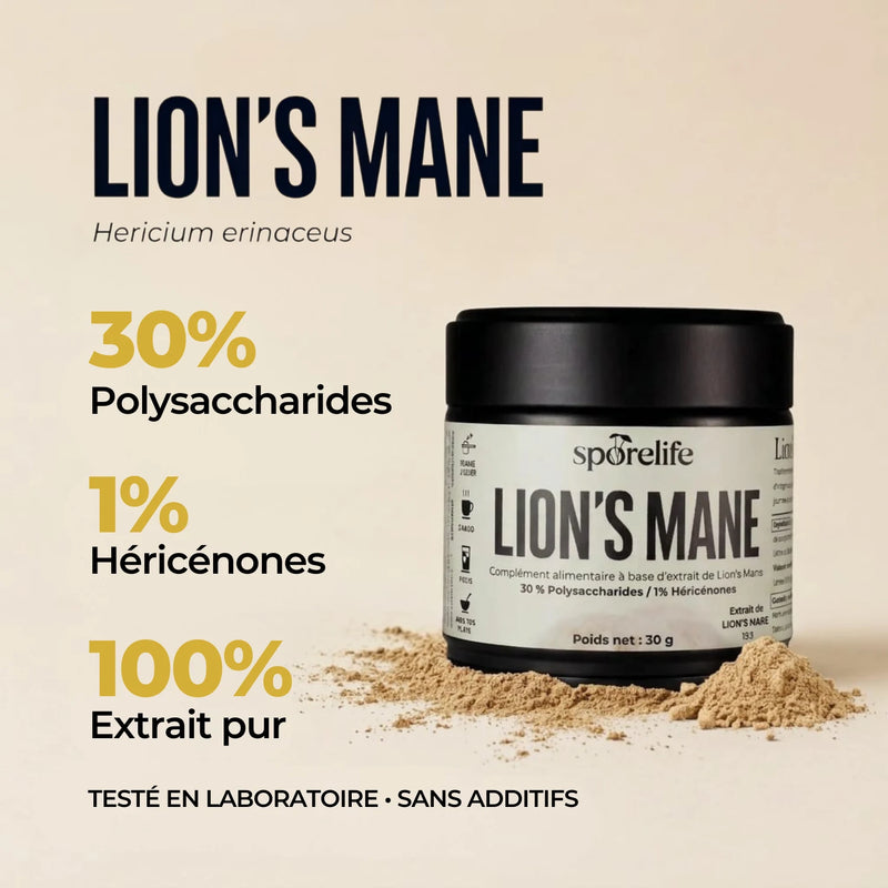 Lion’s Mane - Extrait en poudre 5
