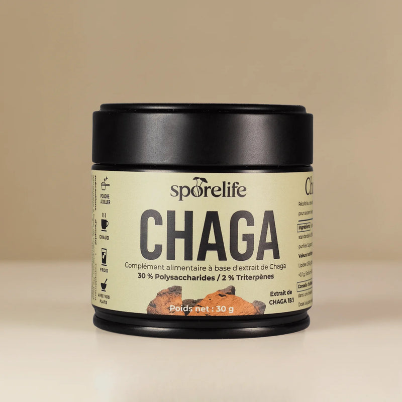 Chaga - Extrait en poudre