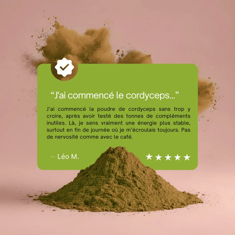 Cordyceps - Extrait en poudre 3