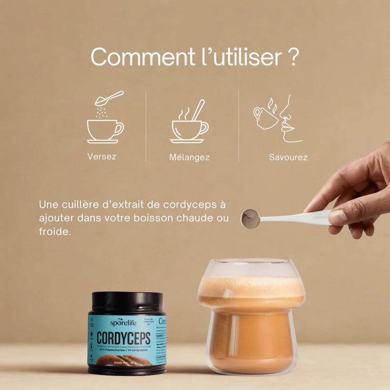 Cordyceps - Extrait en poudre 4