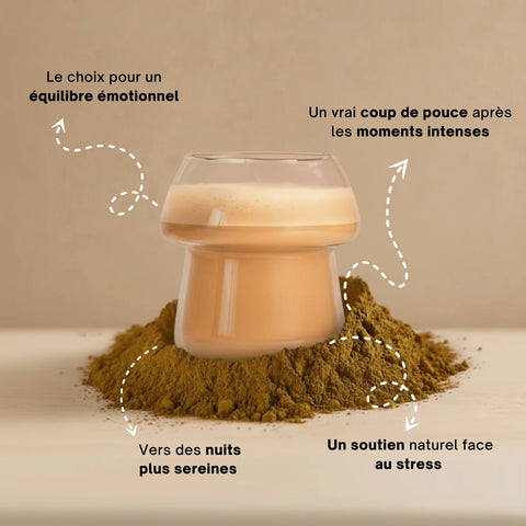 Reishi - Extrait en poudre hover
