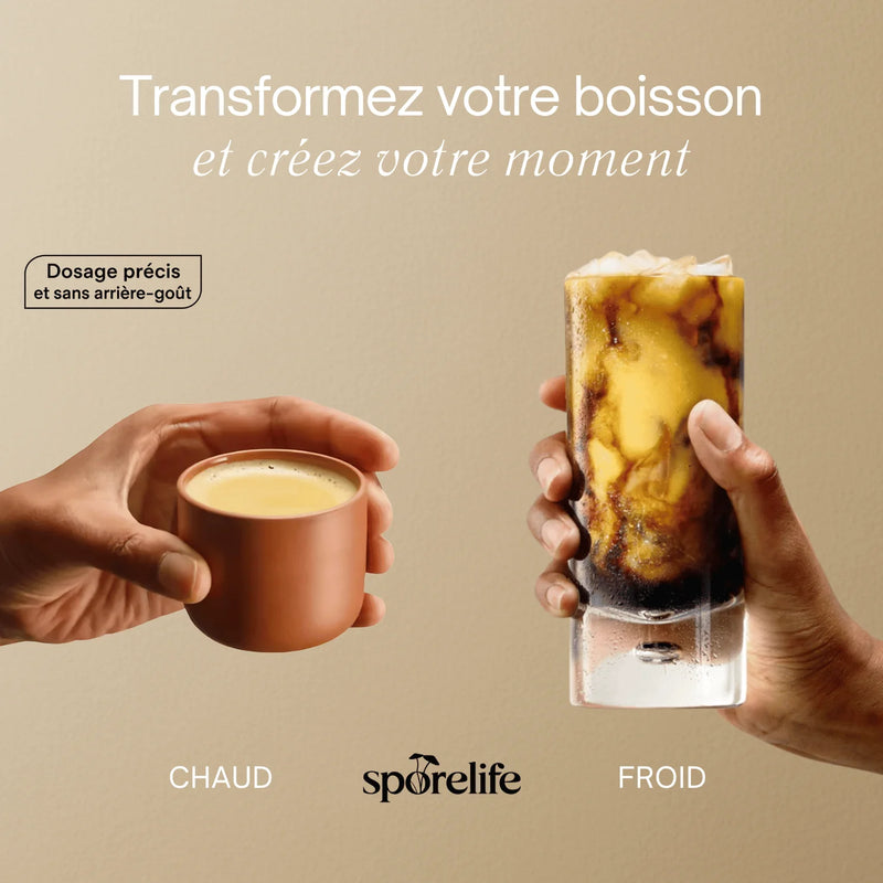 Reishi - Extrait en poudre 4