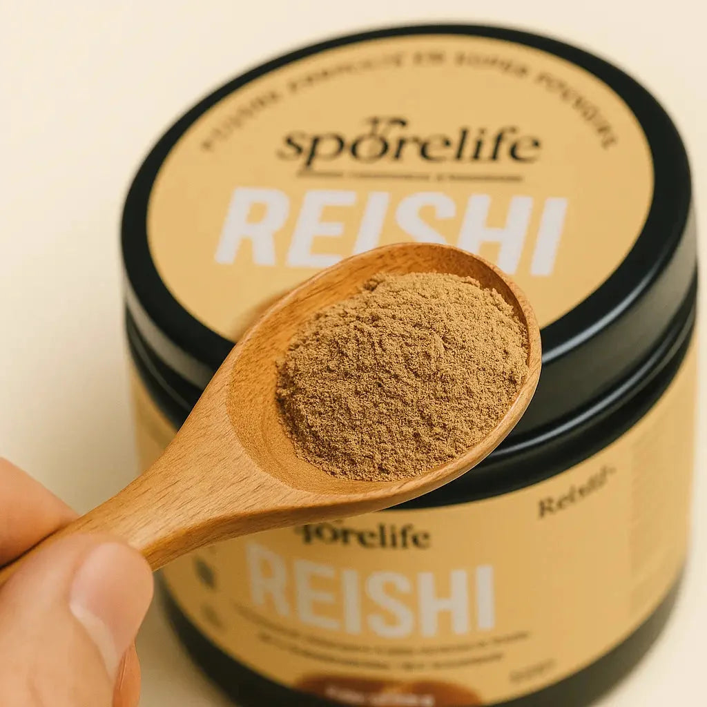 reishi en poudre extrait 15 1 sporelife 416424044 sporelife