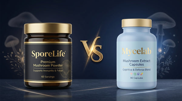 SporeLife vs Mycelab comparatif champignons adaptogenes concentration beta-glucanes