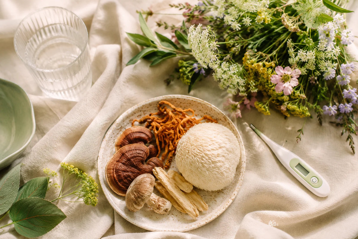 Champignons adaptogènes et SOPK : ce que la science explore