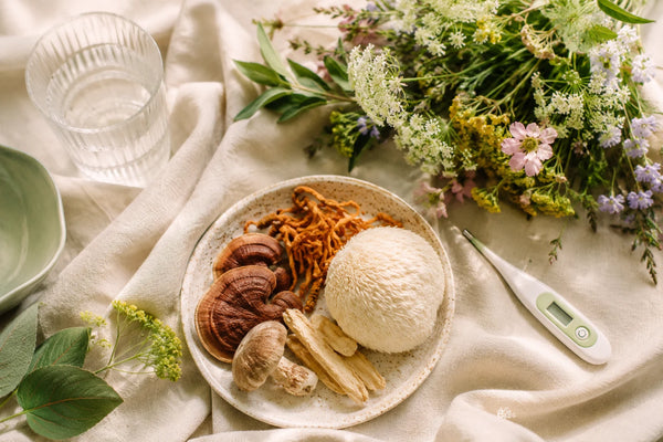 Illustration de couverture de l’article : Champignons adaptogènes et SOPK : ce que la science explore