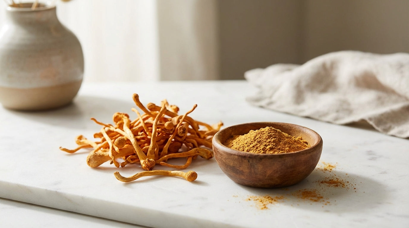 Cordyceps en Poudre : Guide d'Achat et Comparatif 2026 | SporeLife