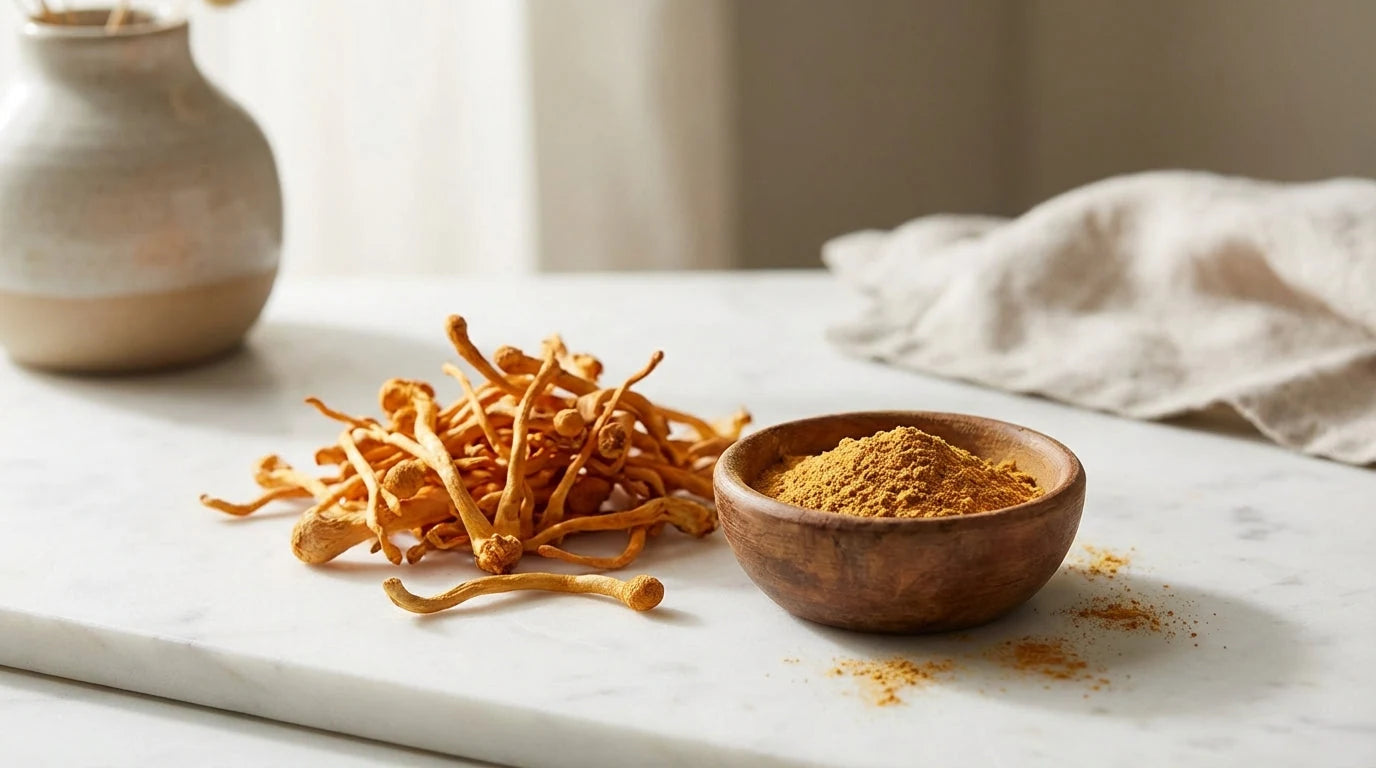 Cordyceps en Poudre : Guide d'Achat et Comparatif 2026 | SporeLife