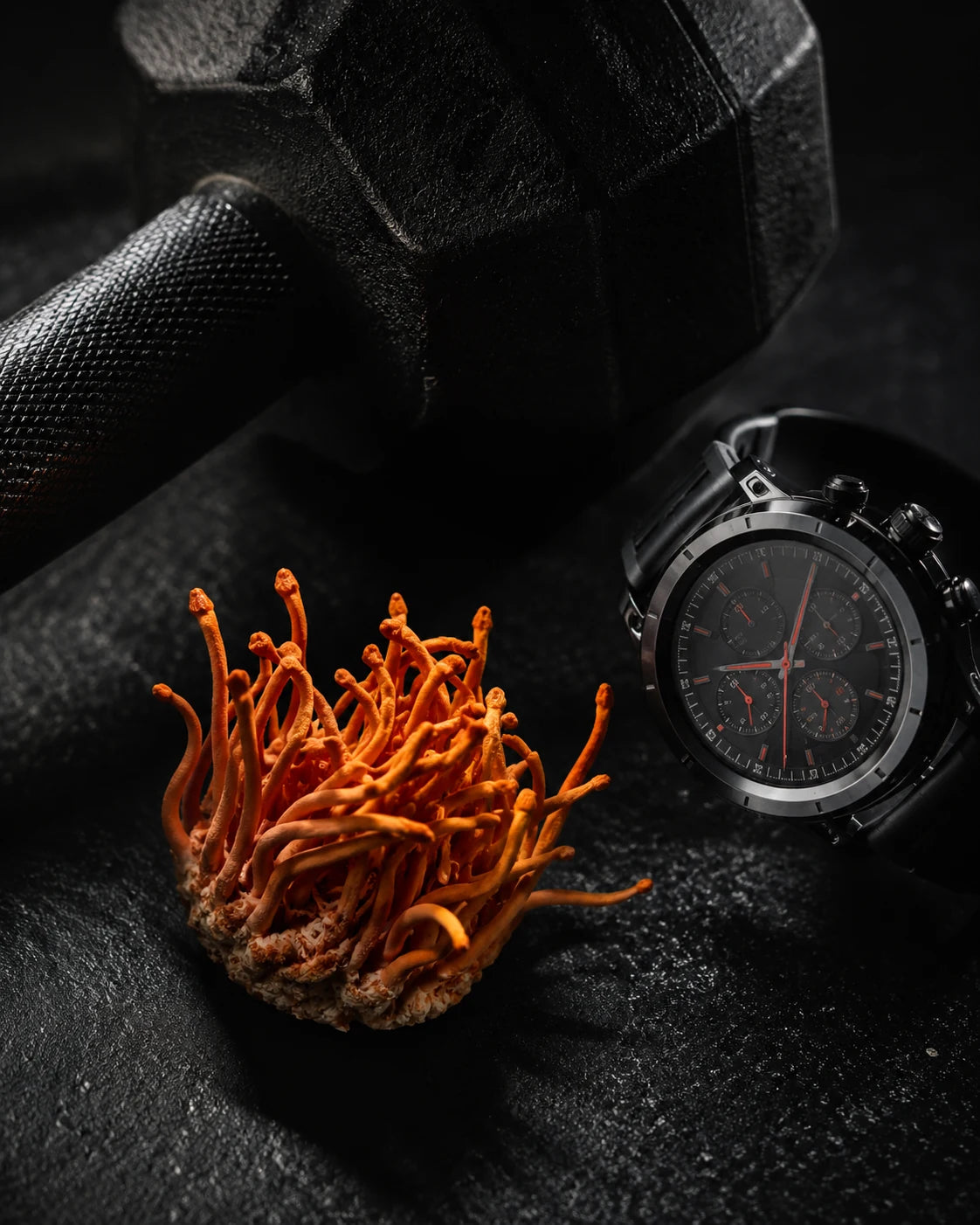 Illustration de couverture de l’article : Cordyceps et altitude : ce que les alpinistes doivent savoir