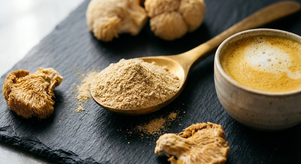 Lion's Mane en poudre : dosage, recettes et conseils d'utilisation
