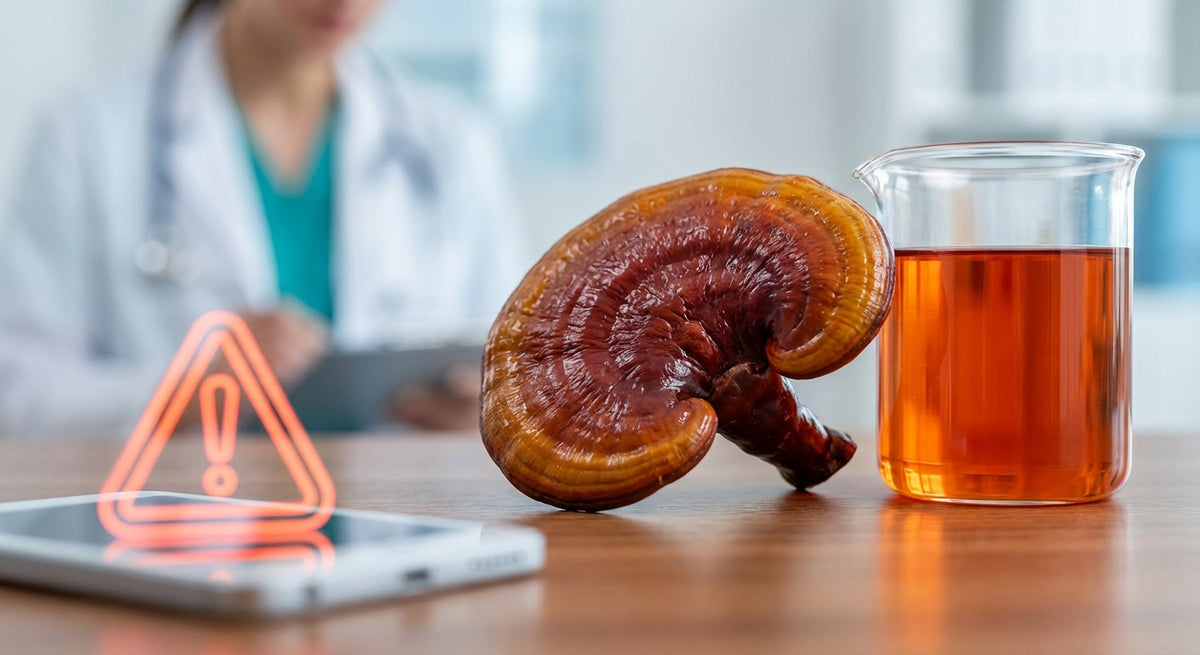 Reishi contre-indications : qui ne devrait pas en prendre ?