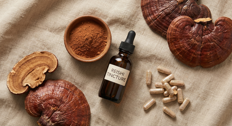 Reishi : quel format selon votre usage (poudre, gélules, teinture)