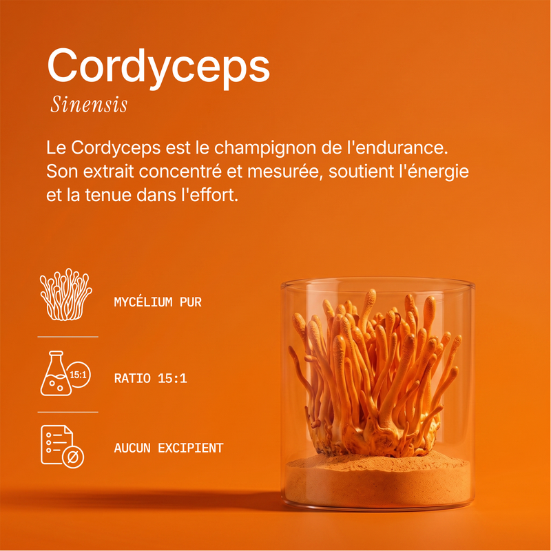 Cordyceps - Extrait en poudre 5
