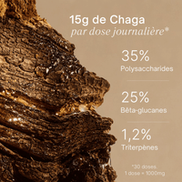 Gummies au Chaga