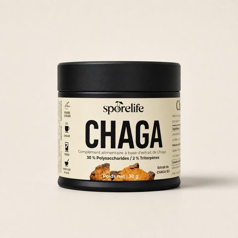 Chaga