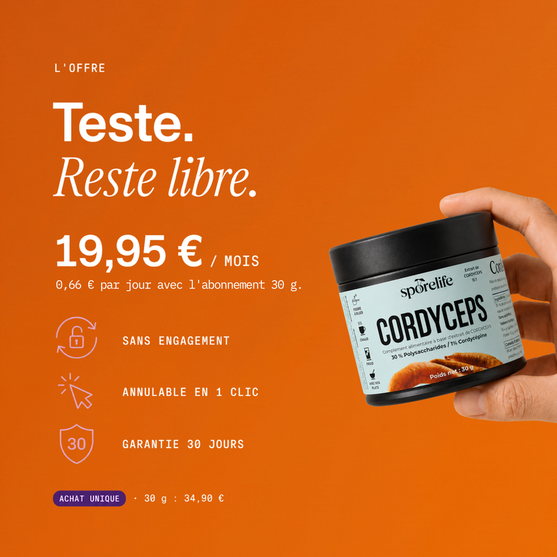 Cordyceps - Extrait en poudre 10