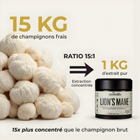 Lion’s Mane - Extrait en poudre