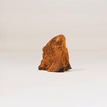 Le Chaga