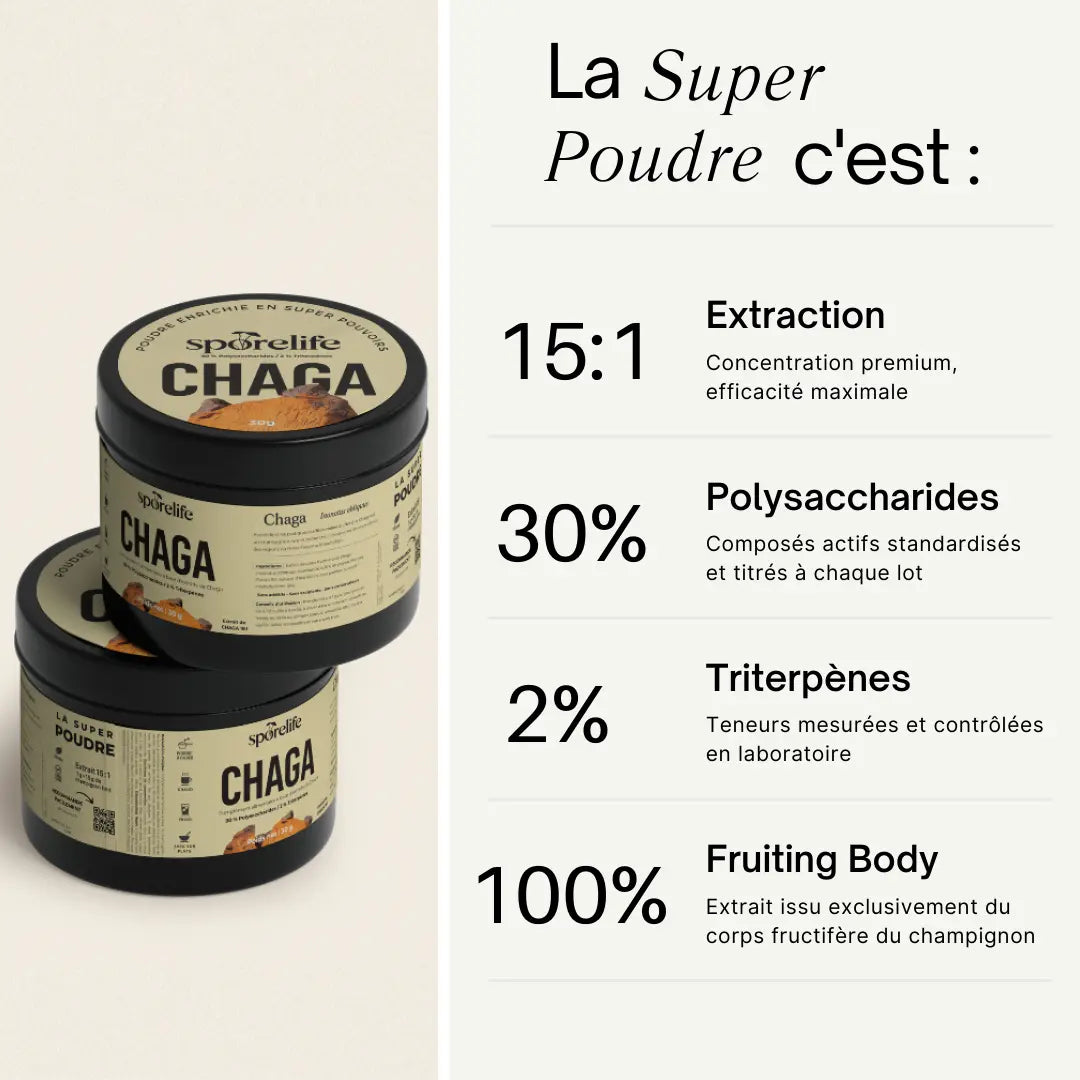 Chaga en poudre – Extrait 15:1 SporeLife