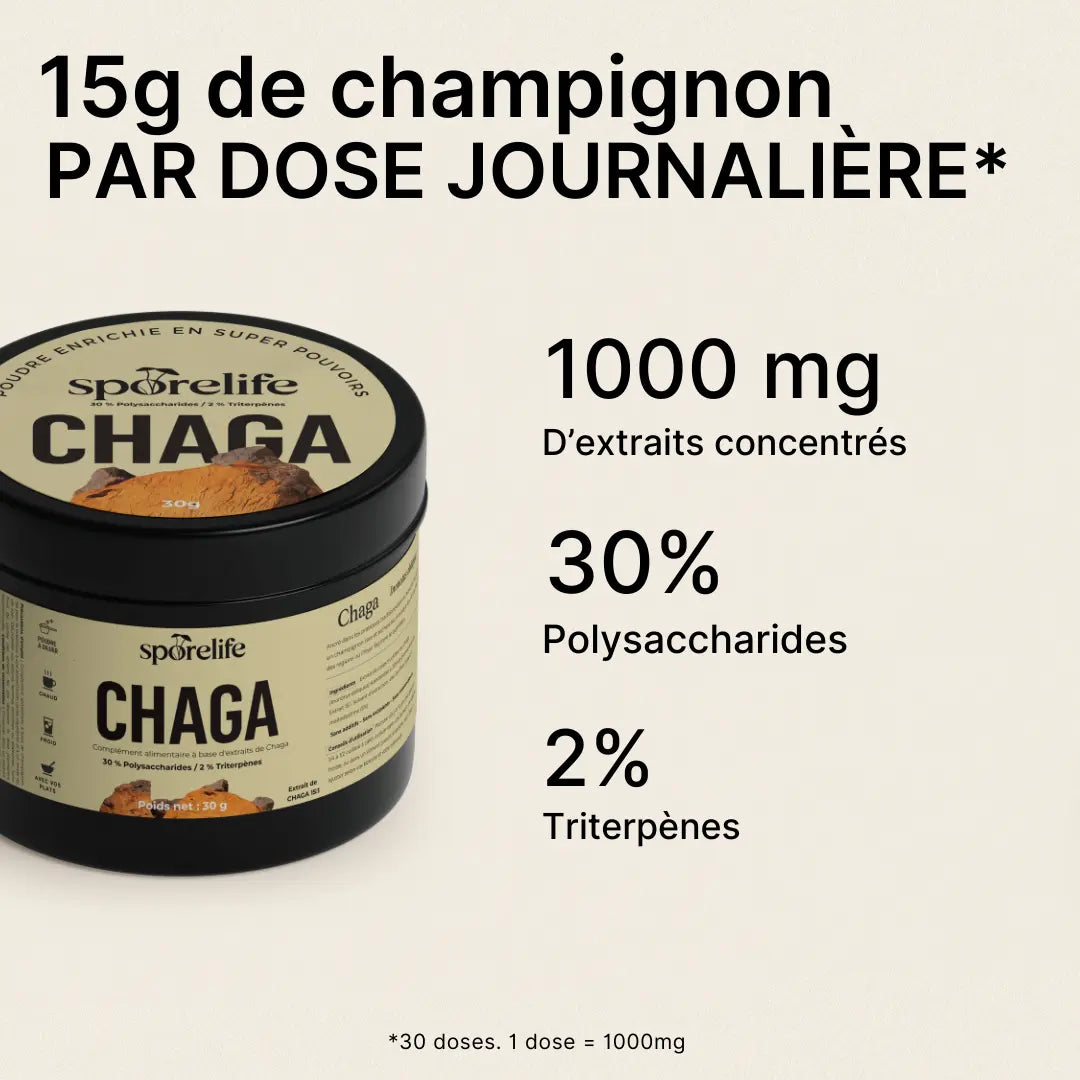 Chaga en poudre – Extrait 15:1 SporeLife