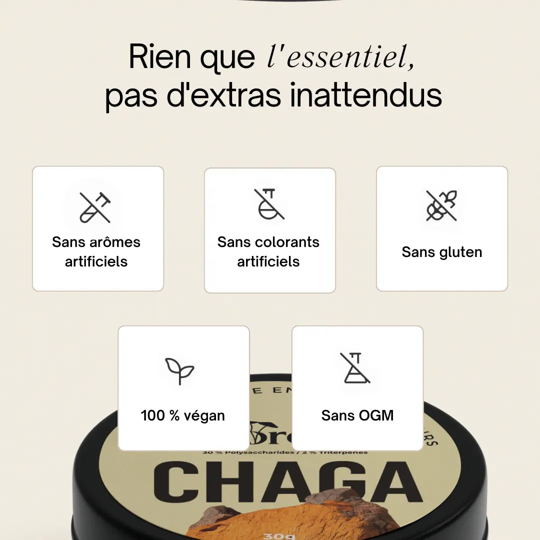 Chaga en poudre – Extrait 15:1 SporeLife