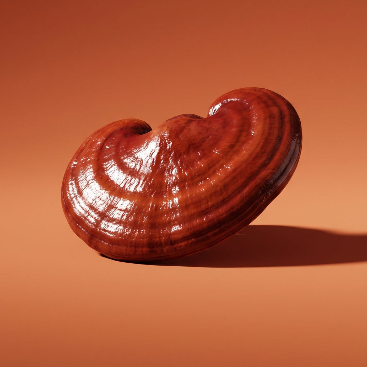 Reishi