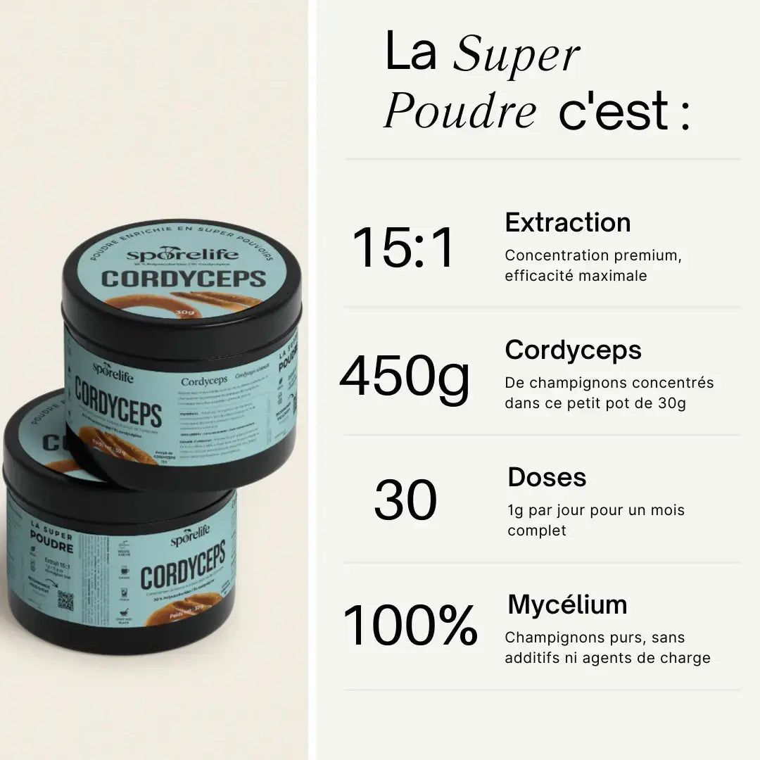 Cordyceps en poudre – Extrait 15:1 SporeLife
