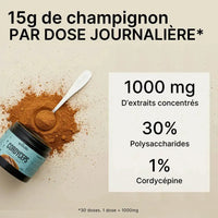 Cordyceps - Extrait en poudre