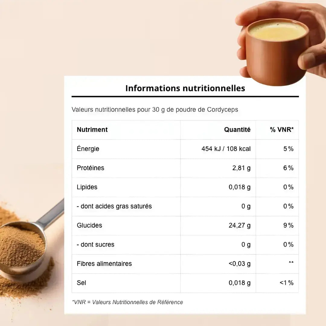 Cordyceps en poudre – Extrait 15:1 SporeLife