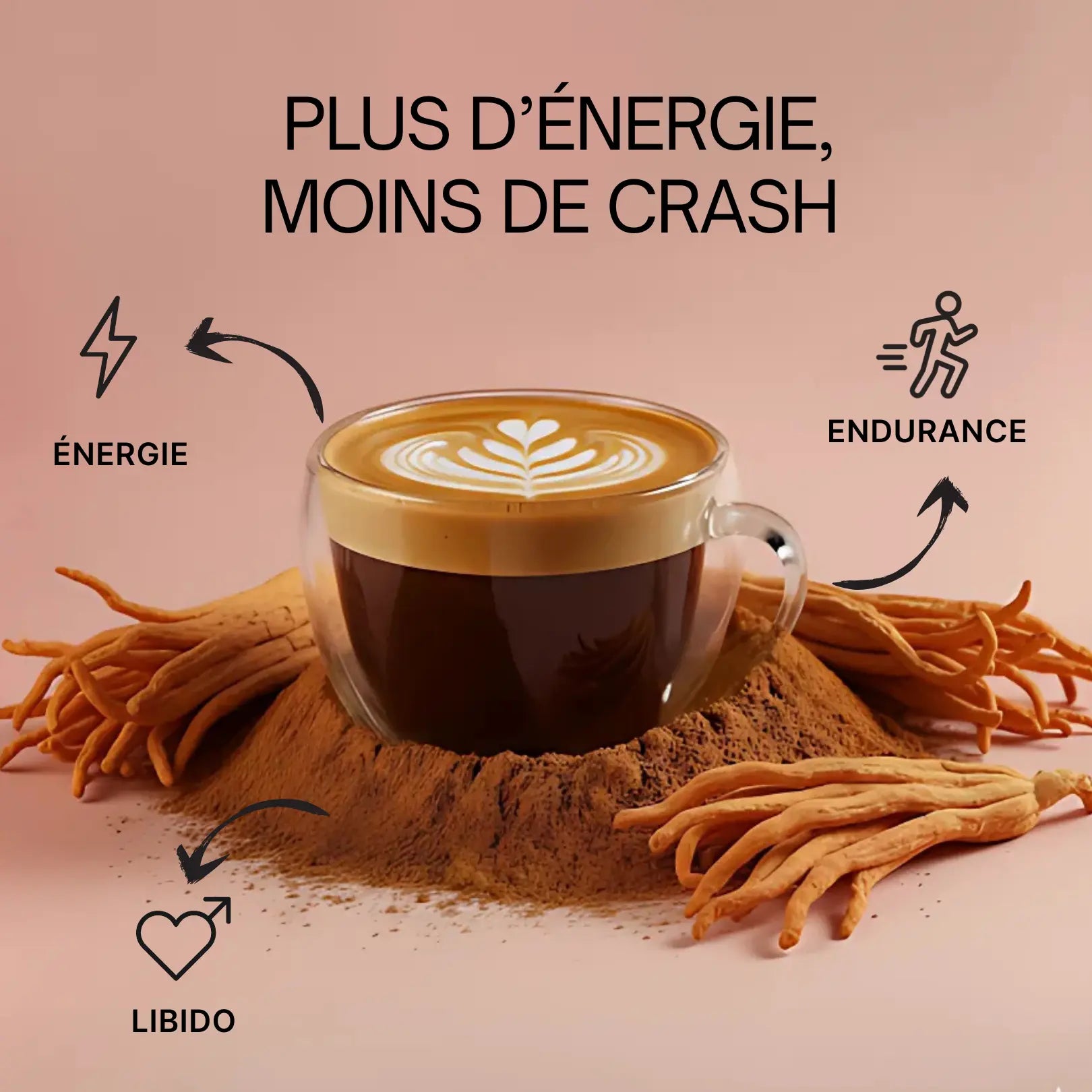 Cordyceps en poudre – Énergie sans crash SporeLife