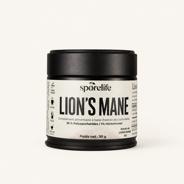 Lion's Mane