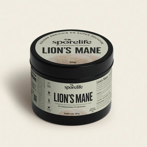Poudre de Lion’s Mane