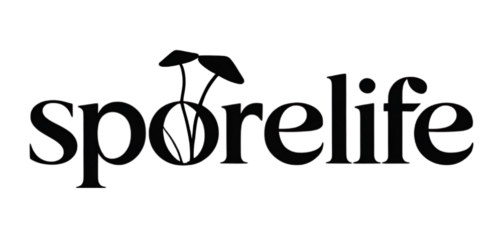 Champignons adaptogènes, routine moderne | Sporelife.fr – SporeLife