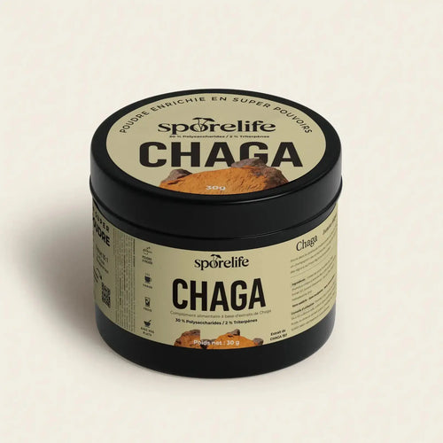 Poudre de Chaga