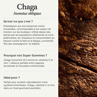 Gummies au Chaga