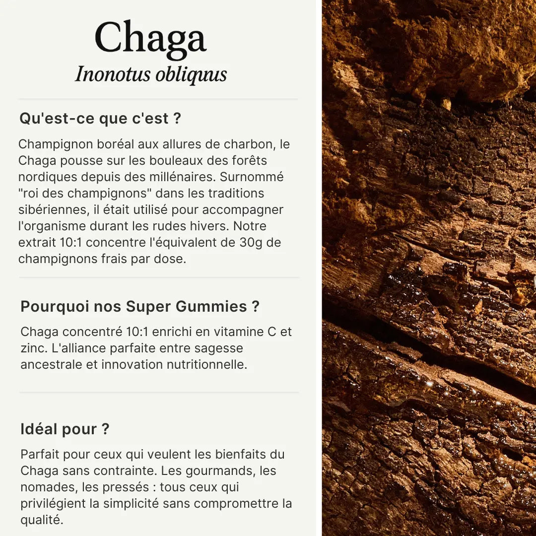 Gummies au Chaga SporeLife